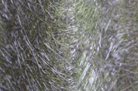 Crosspost fibreglass roof work